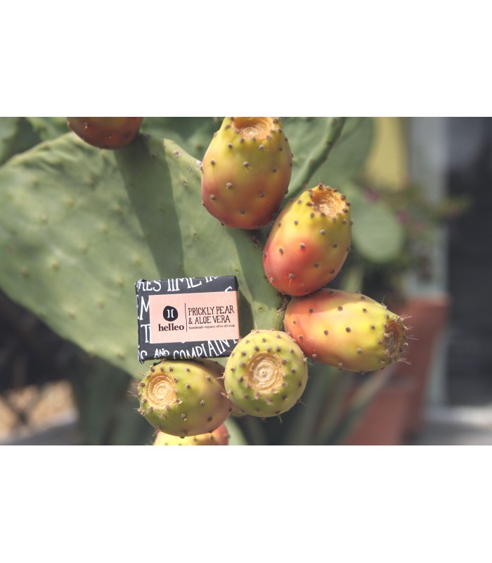 HELLEO MINI - mydlo aloe vera/opuncia 30gr