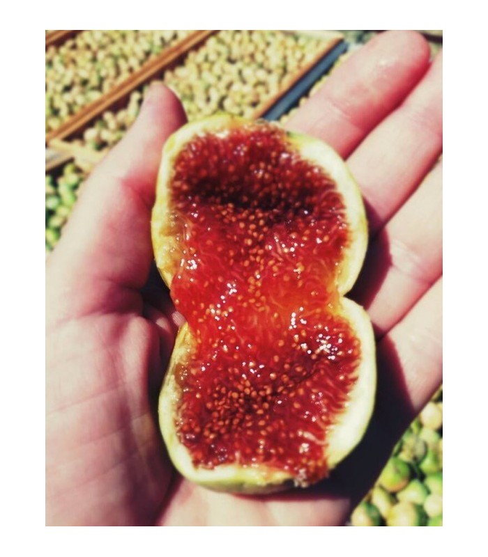 Askada - BIO Sušené figy z Kymi 300gr