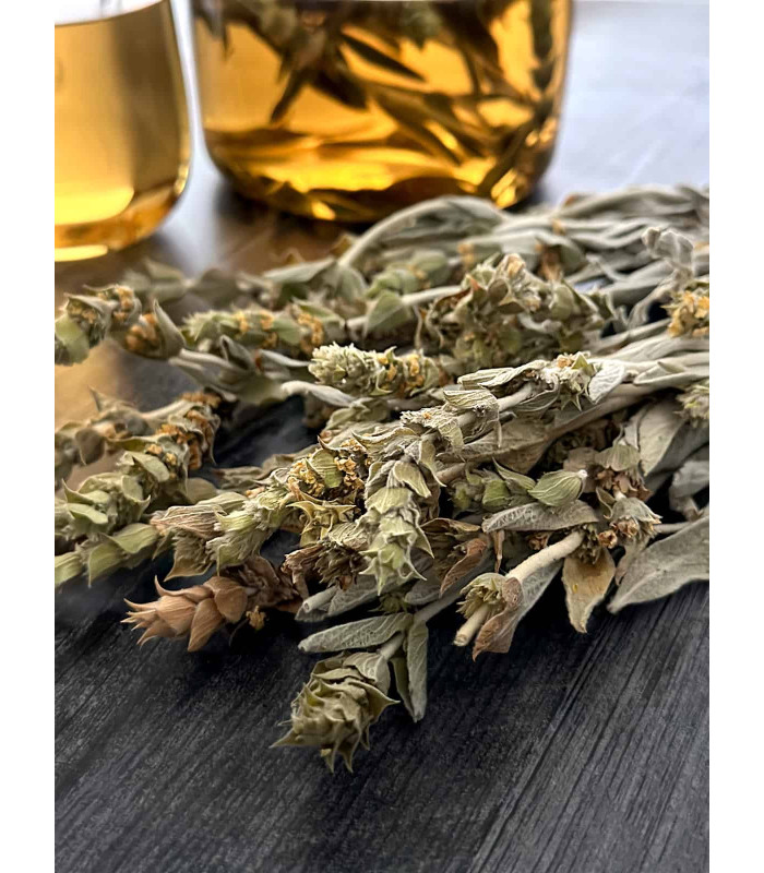 #4722 Greek_Mountain_Tea_